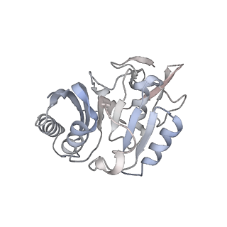 0950_6lqq_3C_v1-2
Cryo-EM structure of 90S small subunit preribosomes in transition states (State B)