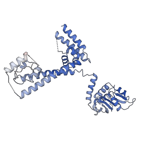 0950_6lqq_3D_v1-1
Cryo-EM structure of 90S small subunit preribosomes in transition states (State B)