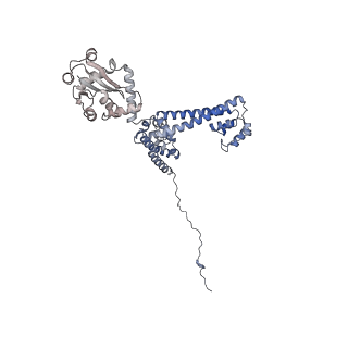 0950_6lqq_3E_v1-2
Cryo-EM structure of 90S small subunit preribosomes in transition states (State B)