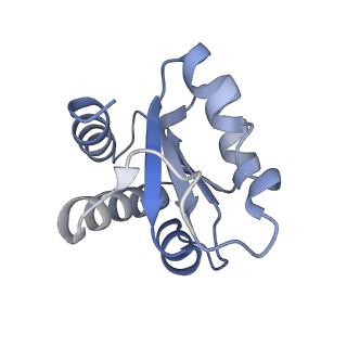 0950_6lqq_3G_v1-2
Cryo-EM structure of 90S small subunit preribosomes in transition states (State B)