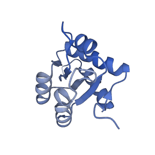 0950_6lqq_3H_v1-1
Cryo-EM structure of 90S small subunit preribosomes in transition states (State B)