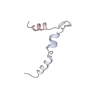 0950_6lqq_5B_v1-1
Cryo-EM structure of 90S small subunit preribosomes in transition states (State B)
