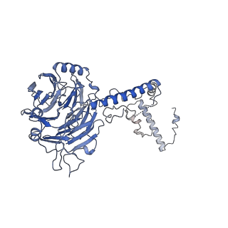 0950_6lqq_5C_v1-1
Cryo-EM structure of 90S small subunit preribosomes in transition states (State B)