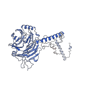 0950_6lqq_5C_v1-2
Cryo-EM structure of 90S small subunit preribosomes in transition states (State B)