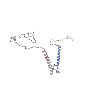 0950_6lqq_5D_v1-1
Cryo-EM structure of 90S small subunit preribosomes in transition states (State B)