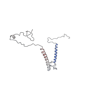 0950_6lqq_5D_v1-2
Cryo-EM structure of 90S small subunit preribosomes in transition states (State B)