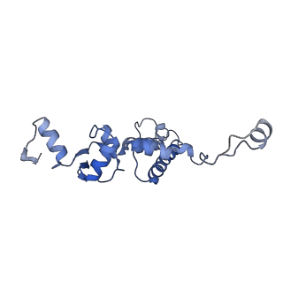 0950_6lqq_5F_v1-1
Cryo-EM structure of 90S small subunit preribosomes in transition states (State B)