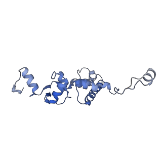 0950_6lqq_5F_v1-2
Cryo-EM structure of 90S small subunit preribosomes in transition states (State B)