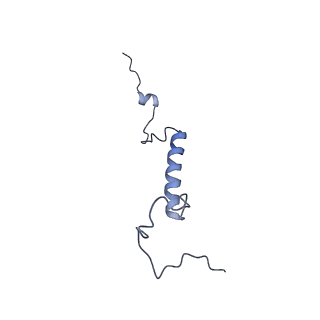 0950_6lqq_5H_v1-1
Cryo-EM structure of 90S small subunit preribosomes in transition states (State B)