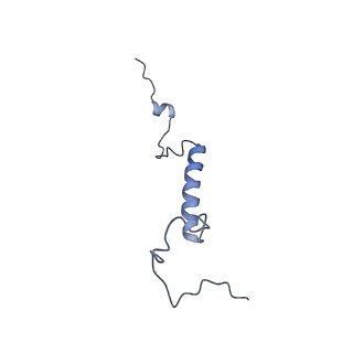 0950_6lqq_5H_v1-2
Cryo-EM structure of 90S small subunit preribosomes in transition states (State B)