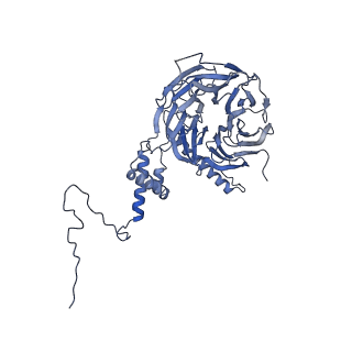 0950_6lqq_5I_v1-1
Cryo-EM structure of 90S small subunit preribosomes in transition states (State B)