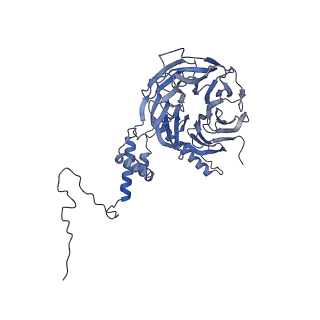 0950_6lqq_5I_v1-2
Cryo-EM structure of 90S small subunit preribosomes in transition states (State B)