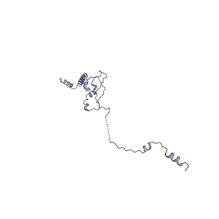 0950_6lqq_5J_v1-1
Cryo-EM structure of 90S small subunit preribosomes in transition states (State B)
