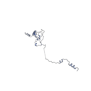 0950_6lqq_5J_v1-2
Cryo-EM structure of 90S small subunit preribosomes in transition states (State B)