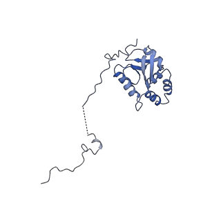 0950_6lqq_5K_v1-1
Cryo-EM structure of 90S small subunit preribosomes in transition states (State B)