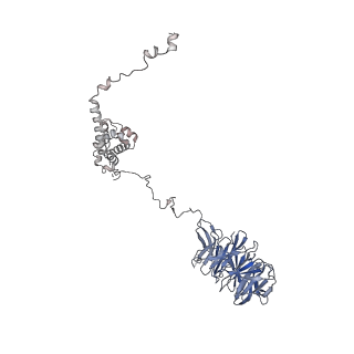0950_6lqq_A5_v1-1
Cryo-EM structure of 90S small subunit preribosomes in transition states (State B)