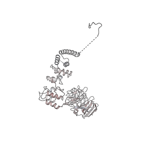 0950_6lqq_A8_v1-1
Cryo-EM structure of 90S small subunit preribosomes in transition states (State B)