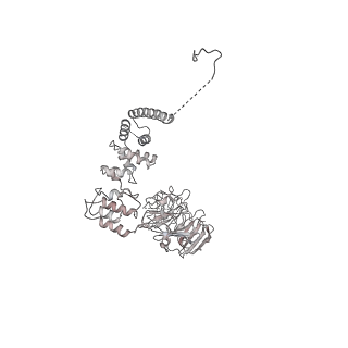 0950_6lqq_A8_v1-2
Cryo-EM structure of 90S small subunit preribosomes in transition states (State B)