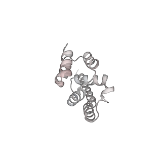 0950_6lqq_A9_v1-1
Cryo-EM structure of 90S small subunit preribosomes in transition states (State B)