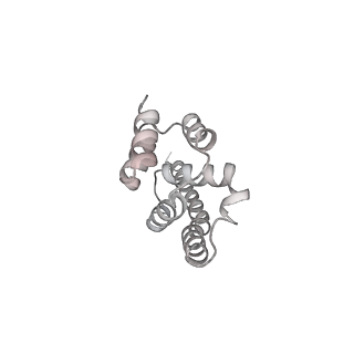 0950_6lqq_A9_v1-2
Cryo-EM structure of 90S small subunit preribosomes in transition states (State B)