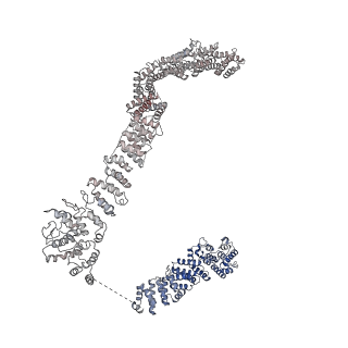 0950_6lqq_AE_v1-2
Cryo-EM structure of 90S small subunit preribosomes in transition states (State B)