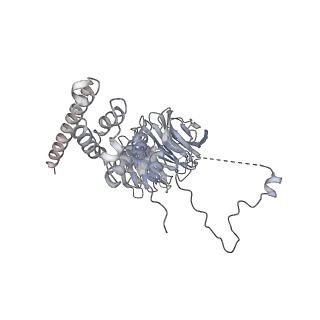0950_6lqq_AF_v1-1
Cryo-EM structure of 90S small subunit preribosomes in transition states (State B)