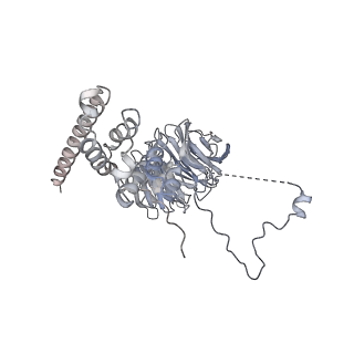 0950_6lqq_AF_v1-2
Cryo-EM structure of 90S small subunit preribosomes in transition states (State B)