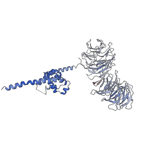 0950_6lqq_B3_v1-1
Cryo-EM structure of 90S small subunit preribosomes in transition states (State B)