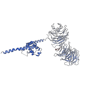 0950_6lqq_B3_v1-2
Cryo-EM structure of 90S small subunit preribosomes in transition states (State B)