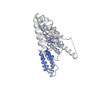 0950_6lqq_B6_v1-1
Cryo-EM structure of 90S small subunit preribosomes in transition states (State B)