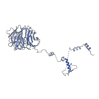 0950_6lqq_B8_v1-1
Cryo-EM structure of 90S small subunit preribosomes in transition states (State B)