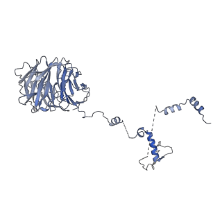 0950_6lqq_B8_v1-2
Cryo-EM structure of 90S small subunit preribosomes in transition states (State B)