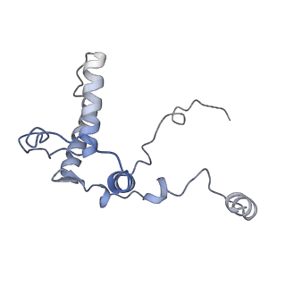 0950_6lqq_RB_v1-1
Cryo-EM structure of 90S small subunit preribosomes in transition states (State B)