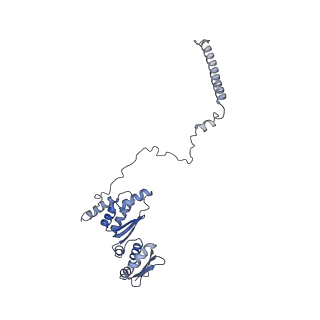 0950_6lqq_RC_v1-2
Cryo-EM structure of 90S small subunit preribosomes in transition states (State B)