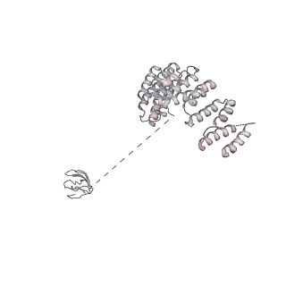 0950_6lqq_RD_v1-1
Cryo-EM structure of 90S small subunit preribosomes in transition states (State B)