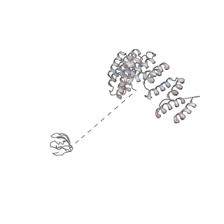 0950_6lqq_RD_v1-2
Cryo-EM structure of 90S small subunit preribosomes in transition states (State B)