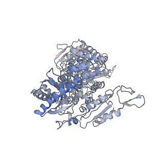 0950_6lqq_RE_v1-1
Cryo-EM structure of 90S small subunit preribosomes in transition states (State B)