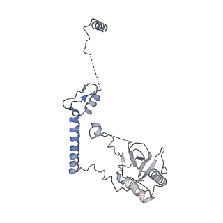 0950_6lqq_RF_v1-2
Cryo-EM structure of 90S small subunit preribosomes in transition states (State B)