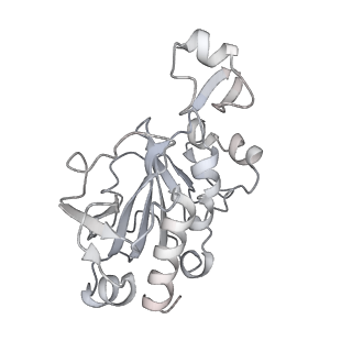 0950_6lqq_RG_v1-1
Cryo-EM structure of 90S small subunit preribosomes in transition states (State B)
