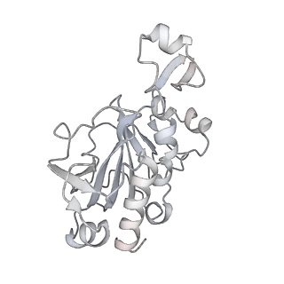 0950_6lqq_RG_v1-2
Cryo-EM structure of 90S small subunit preribosomes in transition states (State B)