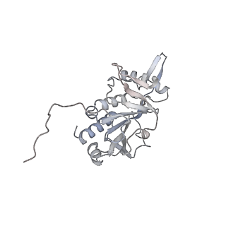 0950_6lqq_RH_v1-2
Cryo-EM structure of 90S small subunit preribosomes in transition states (State B)