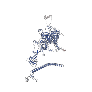 0950_6lqq_RJ_v1-1
Cryo-EM structure of 90S small subunit preribosomes in transition states (State B)