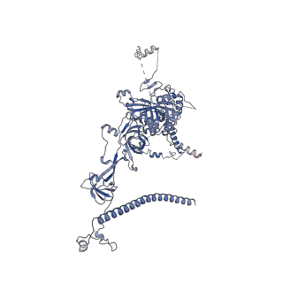 0950_6lqq_RJ_v1-2
Cryo-EM structure of 90S small subunit preribosomes in transition states (State B)