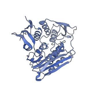 0950_6lqq_RK_v1-1
Cryo-EM structure of 90S small subunit preribosomes in transition states (State B)