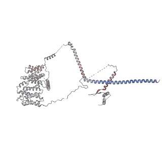 0950_6lqq_RN_v1-2
Cryo-EM structure of 90S small subunit preribosomes in transition states (State B)