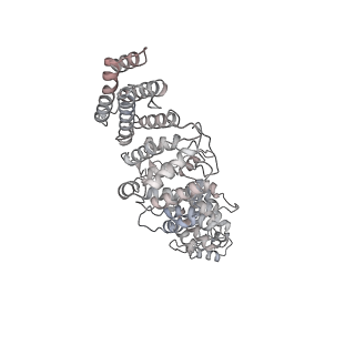 0950_6lqq_RO_v1-2
Cryo-EM structure of 90S small subunit preribosomes in transition states (State B)