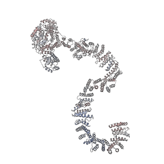0950_6lqq_RP_v1-1
Cryo-EM structure of 90S small subunit preribosomes in transition states (State B)