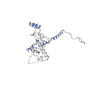 0950_6lqq_RQ_v1-1
Cryo-EM structure of 90S small subunit preribosomes in transition states (State B)