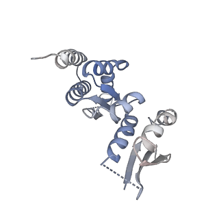 0950_6lqq_RT_v1-2
Cryo-EM structure of 90S small subunit preribosomes in transition states (State B)