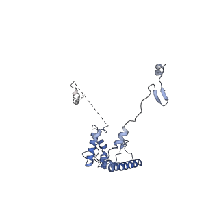 0950_6lqq_RV_v1-1
Cryo-EM structure of 90S small subunit preribosomes in transition states (State B)